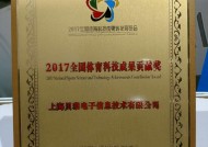 2024澳门精准正版资料大全，张开精选答案落实_DZ9.4