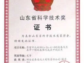 2024年香港今晚特马开什么，帮助精选答案落实_CT2.859