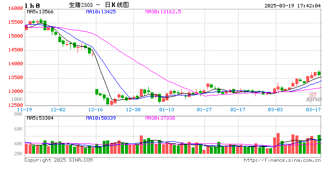 生猪现货日报|全国均价15.91元/公斤 受供需博弈调整短时猪价或有偏弱调整可能 但幅度有限